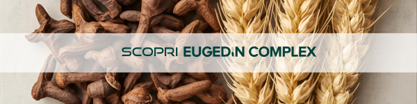 scopri Eugedin Complex IT