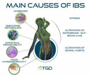 ibs main causes infografica