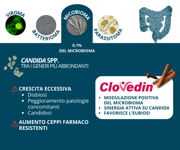 infografica micobiota IT