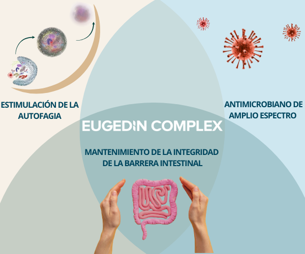 remedios naturales MDA Eugedin Complex infografica ES
