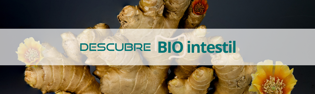 banner BIOintestil ES