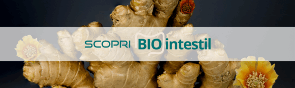 banner BIOintestil IT