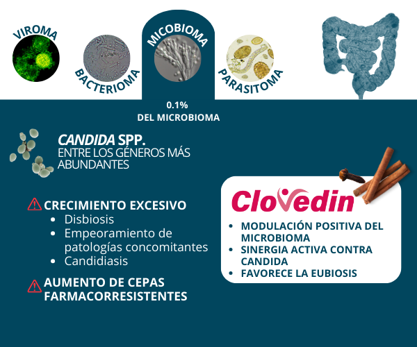 infografica Micobiota ESP