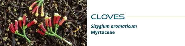 cloves banner