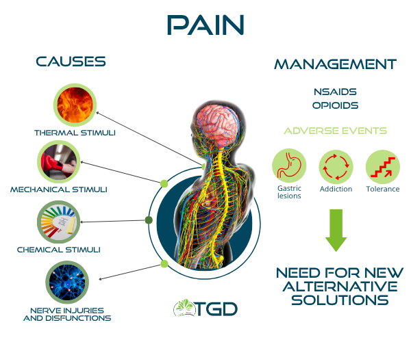 pain infografica ENG